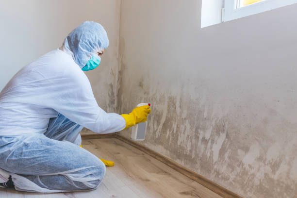 Mold Remediation specialist working in Madison